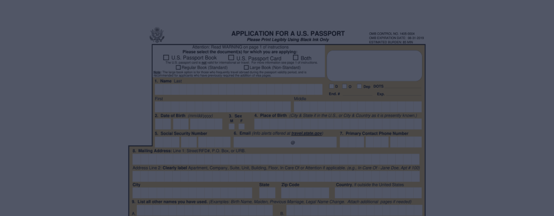 DS 11 Form Printable gt DS 11 US Passport Application In PDF Print Out 