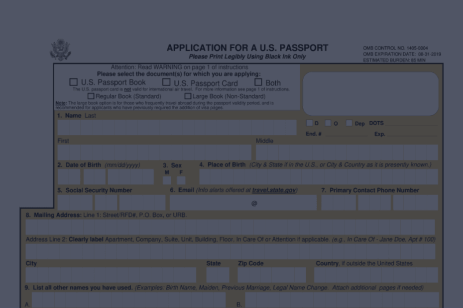 DS 11 Form Printable gt DS 11 US Passport Application In PDF Print Out