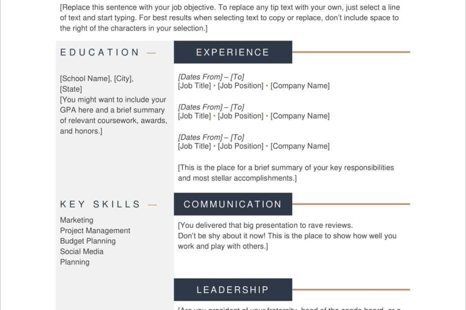 Free Printable Resume Forms Printable Forms Free Online