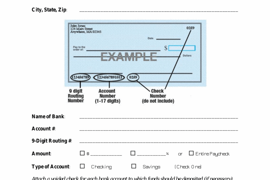Printable Direct Deposit Form Printable Form 2024