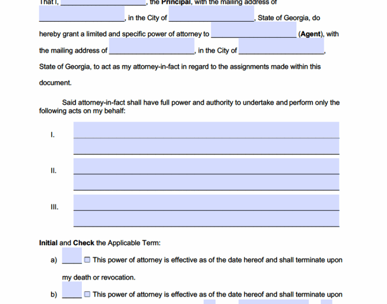 Printable Power Of Attorney Form Georgia Printable Forms Free Online